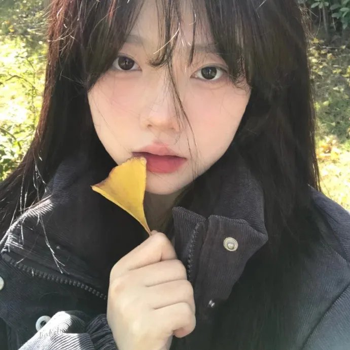 烽火岁月